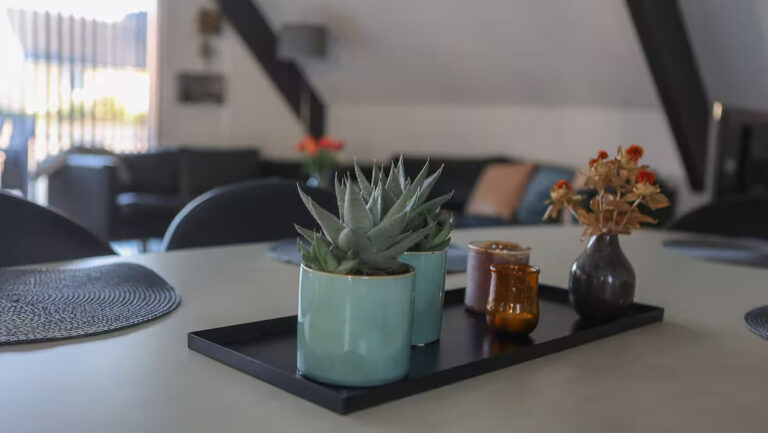 Sommerhus Hirtshals Huset_-15