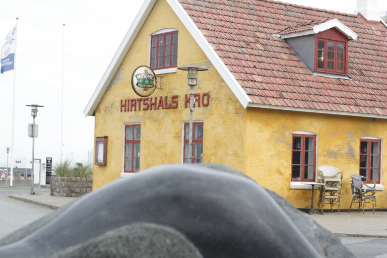 Sommerhus Hirtshals Huset_-43