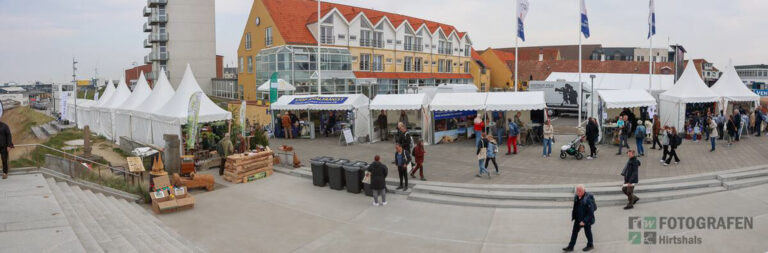 Sommerhus Hirtshals Huset_-44