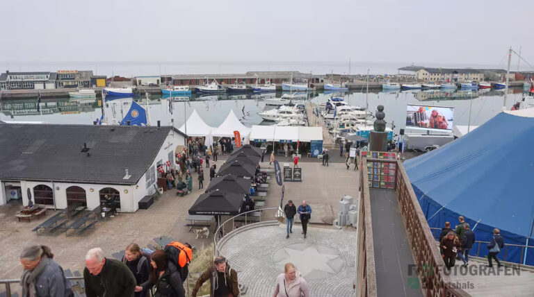 Sommerhus Hirtshals Huset_-45