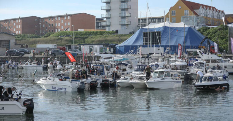 Sommerhus Hirtshals Huset_-46